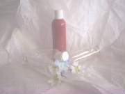 dsc01161.jpg
